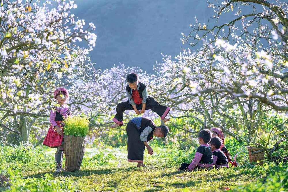 Best Time to Visit Vietnam: Smart Choices- Perfect Journeys