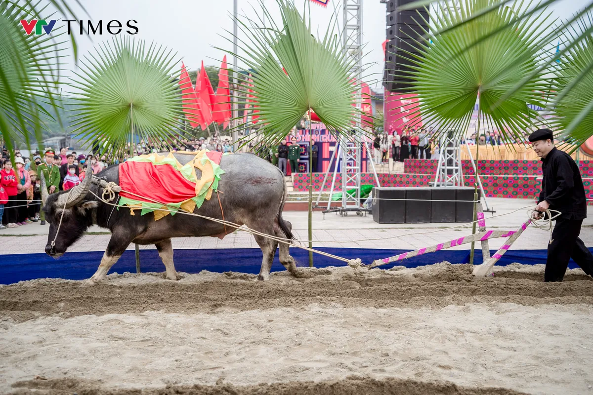 Lồng Tồng Festival: The Tay People’s Joyful Call to the Field
