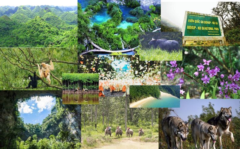 Top 10 Must-Visit National Parks in Vietnam