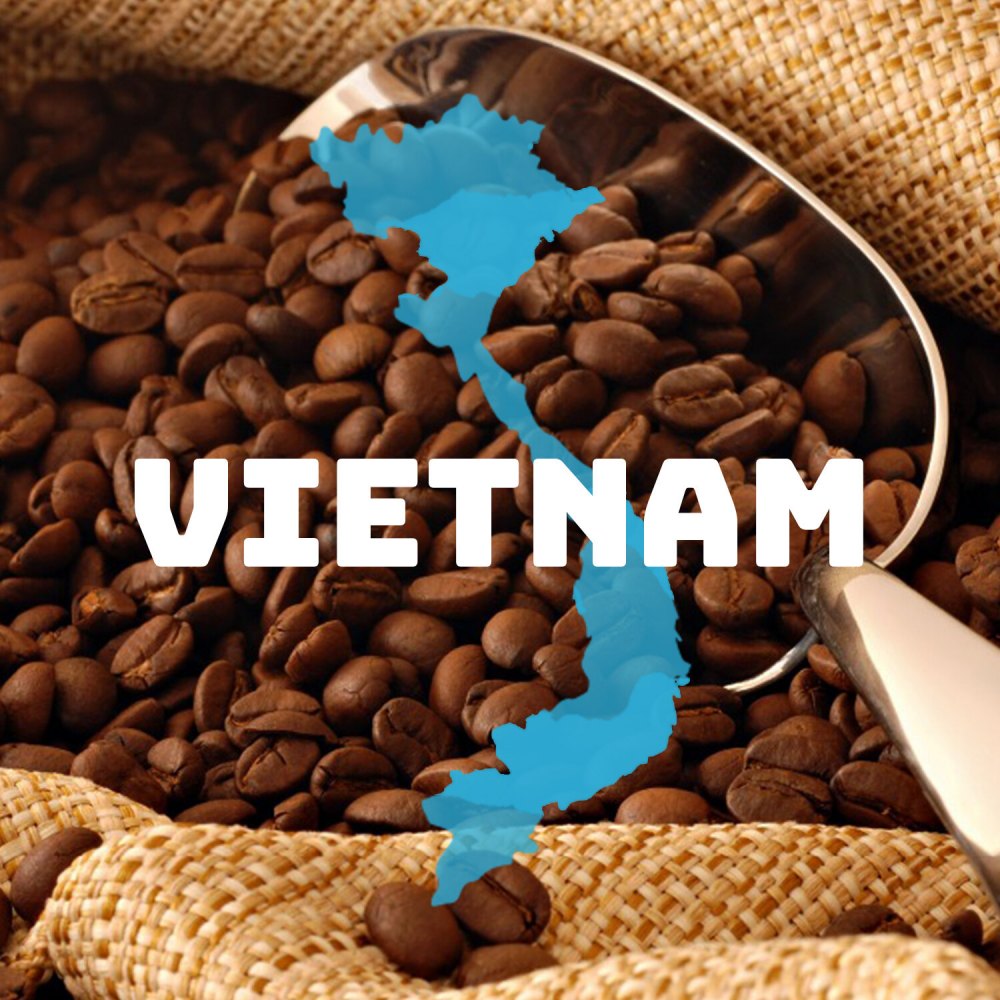 Vietnamese Coffee – A Unique Global Powerhouse