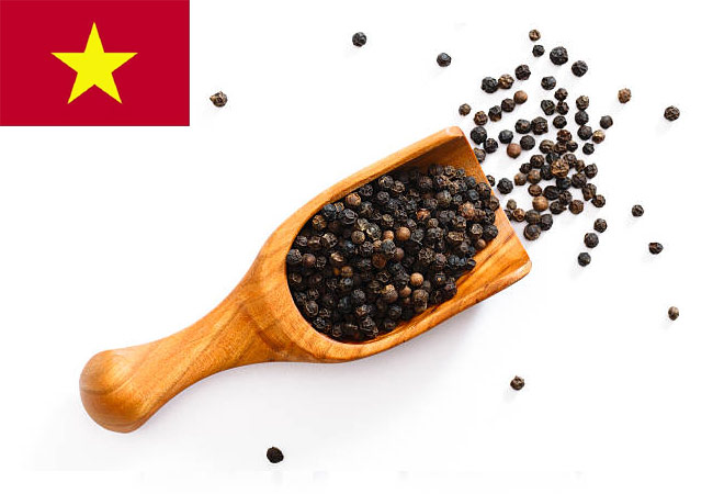 Vietnamese Pepper – A Spicy Pride Worldwide