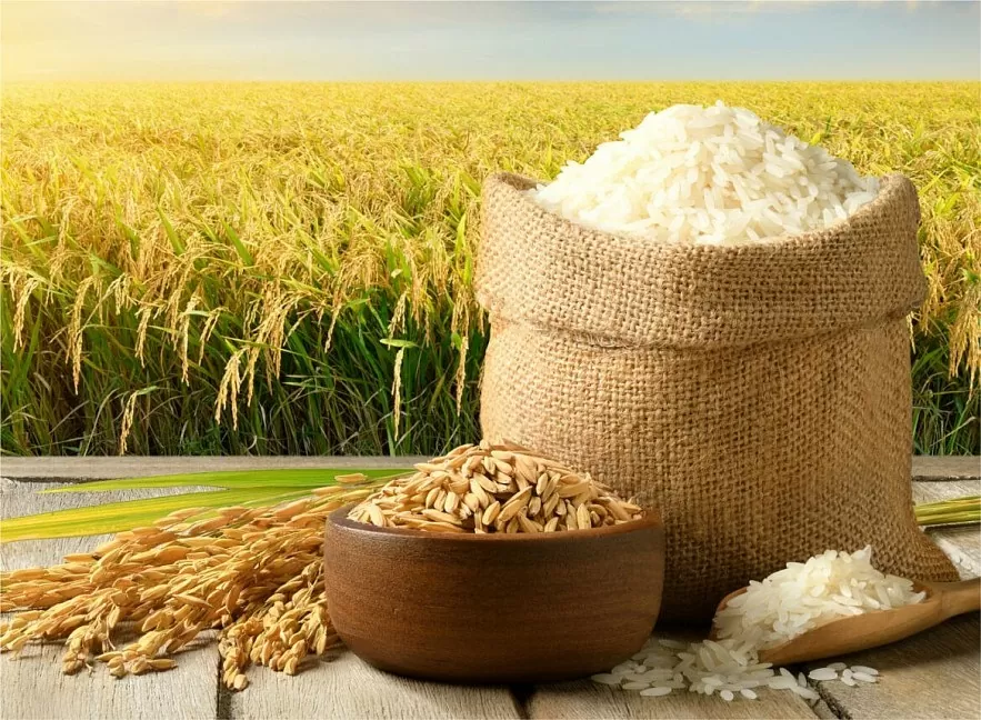 Vietnamese Rice: The Backbone of National Strength