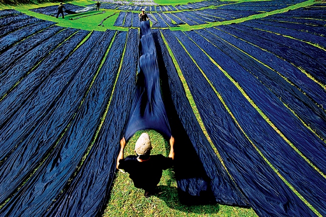 Vietnamese Silk: A Thread of Elegance & Tradition