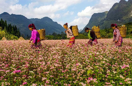 13D12N – NorthEast Package: Cultural Heritages & Serene Wonders