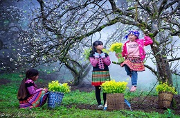 3D2N: Mai Chau-Moc Chau Private Tour: Your Ultimate Trip