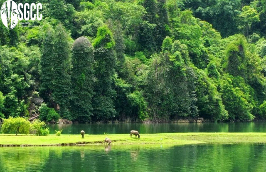 5D4N- Northeast Trip: PacBo, Babe Lake, Bangioc Waterfall