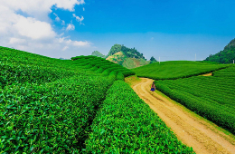 12D11N- NorthWest Package: Natural Wonder & Historic Legacy