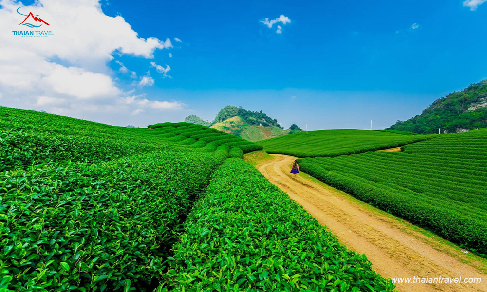 24D23N-Miracle Main North Package: Cultural Legacy & Wonder