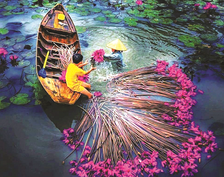 HCMC Package 8D7N: Dazzling City, Mekong Delta, Muine, Dalat