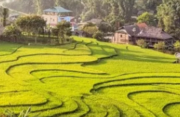 The Ultimate Sapa Private Retreat: 2D1N Luxury Tour