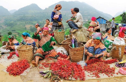 Sapa-Bac Ha Market 4D3N–Great Luxury Exclusive Private Tour