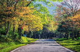 Ba Vi National Park-Summit & History Tranquil Discovery Tour