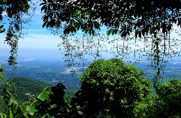 Ba Vi National Park-Summit & History Tranquil Discovery Tour