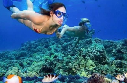 Cham Island Snorkeling Tour: A Paradise Day Trip