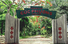 Cuc Phuong National Park: A Private Eco-Tour & Trek