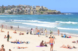 Cham Island Snorkeling Tour: A Paradise Day Trip