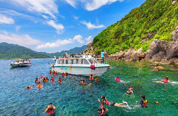 Cham Island Snorkeling Tour: A Paradise Day Trip