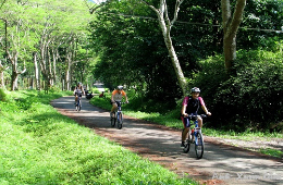 Ninh Binh Ultimate 3D2N – Heritage, Wonders & Culture