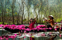 Mekong Delta-Full Day Luxury Group Tour into the Waterworld