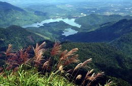 Bach Ma National Park: Vietnam’s Misty Mountain Retreat