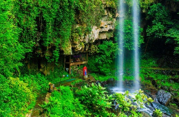 Bach Ma National Park: Vietnam’s Misty Mountain Retreat