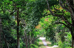 Ninh Binh 2D1N: Wonders, Heritage & Eco Private Tour