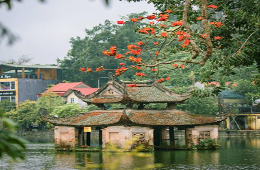 Duong Lam Village- Thay Pagoda: Private Wonder & Holy Tour