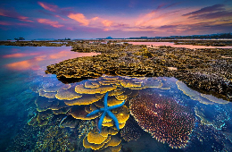 Dive into Paradise: Explore Nha Trang Underwater World