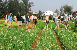 Hoi An: Tra Que Village Farming Tour & Cooking Class