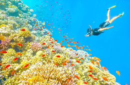 Nha Trang: The Ultimate Water & Air Ocean Adventure!