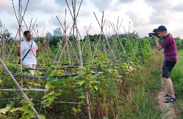 Hanoi Countryside Biking Tour-Hidden Tranquil Adventure