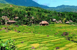 The Finest Blend: Private 4D3N- Ninh Binh & Pu Luong Tour