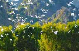 Cuc Phuong National Park: A Private Eco-Tour & Trek