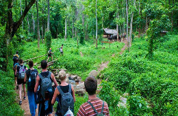 Cuc Phuong National Park: A Private Eco-Tour & Trek