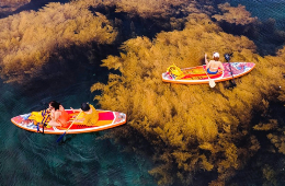 Quy Nhon Discovery: Hon Kho Island & Ong Nui Pagoda Tour