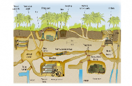 HCMC: Marvelous Cu Chi Tunnels Half-Day Luxury Group Tour