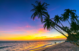 HCMC Package 8D7N: Dazzling City, Mekong Delta, Muine, Dalat