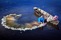 HCMC Package 9D8N-Awesome & Marvelous Mekong, Muine, Dalat