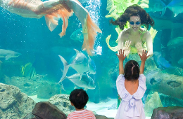 Hanoi Ultimate Luxury Private Tour: Photo-Shopping-Top Views