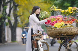 Hanoi Ultimate Luxury Private Tour: Photo-Shopping-Top Views
