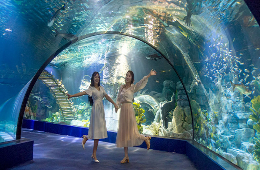 Hanoi Ultimate Luxury Private Tour: Photo-Shopping-Top Views