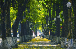 Hanoi Ultimate Luxury Private Tour: Photo-Shopping-Top Views