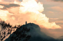 Ba Vi National Park-Summit & History Tranquil Discovery Tour