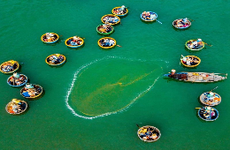 Hoi An Basket Boat Tour: Discover the Coconut Village