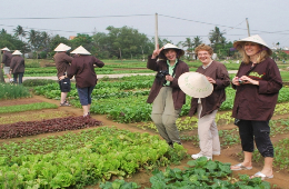 Hoi An: Tra Que Village Farming Tour & Cooking Class