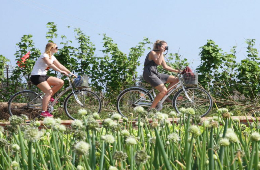 Hoi An: Tra Que Village Farming Tour & Cooking Class