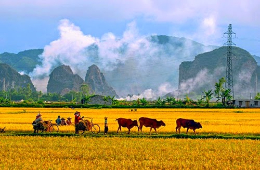 Hue: A Tour to the Peaceful Beauty of Tam Giang Lagoon & Countryside