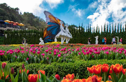 Ba Na Hills & Golden Bridge – Exclusive Private Tour