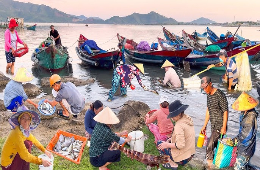 Lang Co Bay & Hai Van Pass Private Luxury Tour