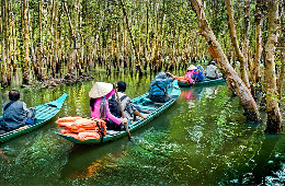 Mekong Delta-Full Day Luxury Group Tour into the Waterworld